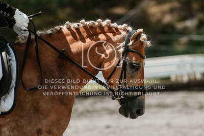 © Niki Buchegger, turnier-fotos.at