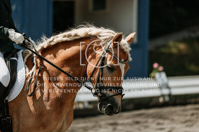 © Niki Buchegger, turnier-fotos.at