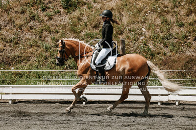 © Niki Buchegger, turnier-fotos.at