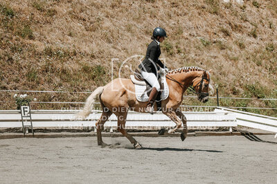 © Niki Buchegger, turnier-fotos.at