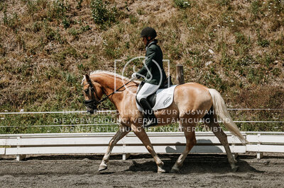 © Niki Buchegger, turnier-fotos.at