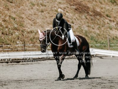 © Niki Buchegger, turnier-fotos.at