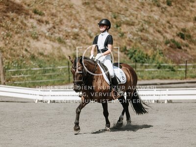 © Niki Buchegger, turnier-fotos.at
