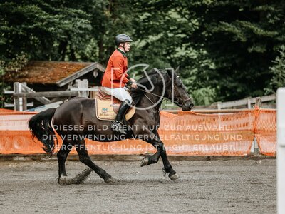 © Niki Buchegger, turnier-fotos.at