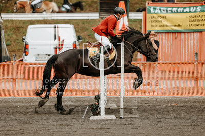 © Niki Buchegger, turnier-fotos.at