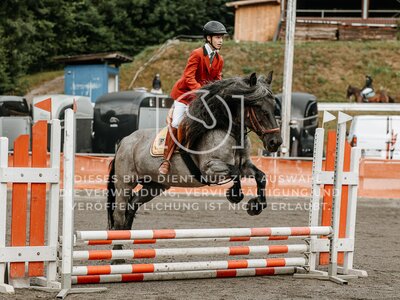 © Niki Buchegger, turnier-fotos.at