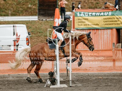 © Niki Buchegger, turnier-fotos.at