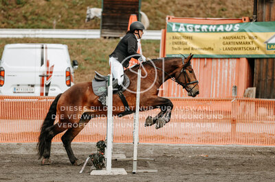 © Niki Buchegger, turnier-fotos.at