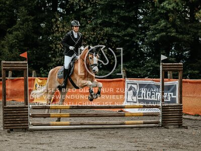 © Niki Buchegger, turnier-fotos.at