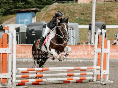© Niki Buchegger, turnier-fotos.at
