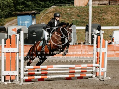 © Niki Buchegger, turnier-fotos.at