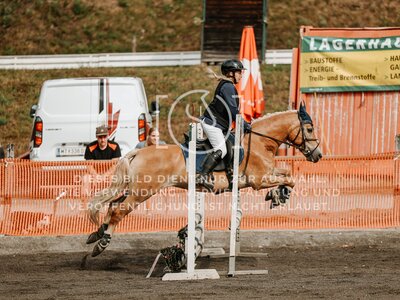 © Niki Buchegger, turnier-fotos.at