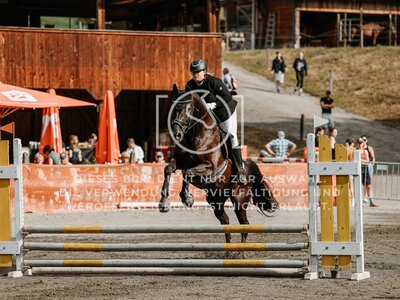 © Niki Buchegger, turnier-fotos.at