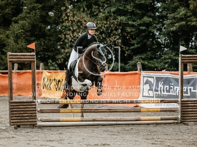 © Niki Buchegger, turnier-fotos.at