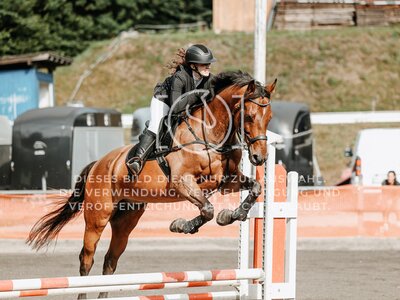 © Niki Buchegger, turnier-fotos.at