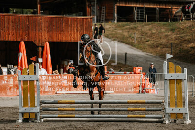 © Niki Buchegger, turnier-fotos.at