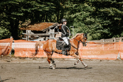 © Niki Buchegger, turnier-fotos.at
