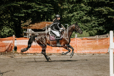 © Niki Buchegger, turnier-fotos.at