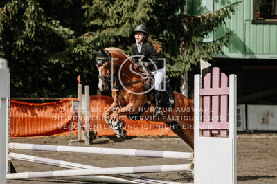 © Niki Buchegger, turnier-fotos.at