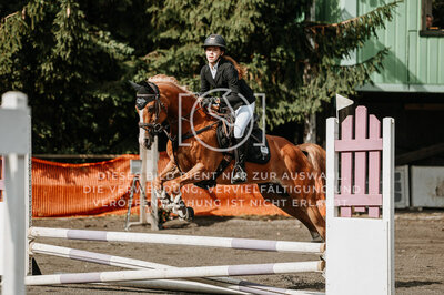 © Niki Buchegger, turnier-fotos.at