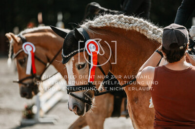 © Niki Buchegger, turnier-fotos.at