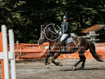 © Niki Buchegger, turnier-fotos.at