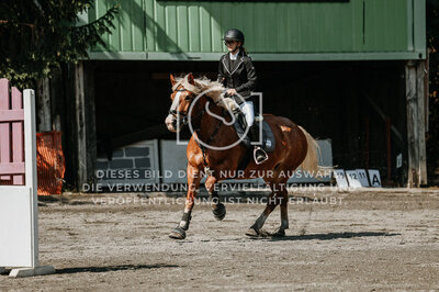 © Niki Buchegger, turnier-fotos.at