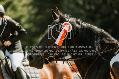 © Niki Buchegger, turnier-fotos.at