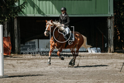 © Niki Buchegger, turnier-fotos.at