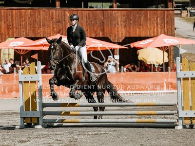 © Niki Buchegger, turnier-fotos.at