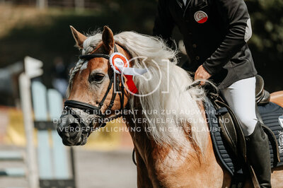 © Niki Buchegger, turnier-fotos.at