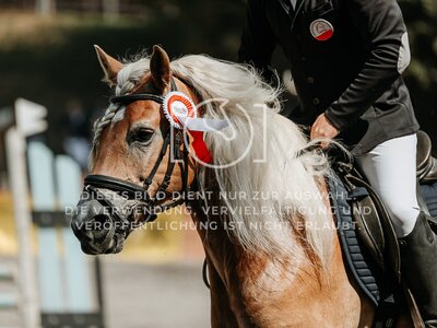 © Niki Buchegger, turnier-fotos.at