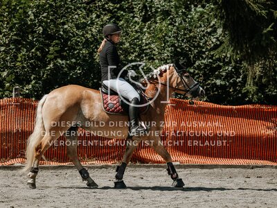 © Niki Buchegger, turnier-fotos.at