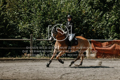 © Niki Buchegger, turnier-fotos.at