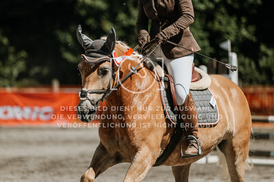 © Niki Buchegger, turnier-fotos.at