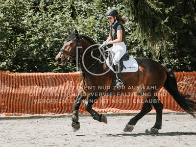 © Niki Buchegger, turnier-fotos.at