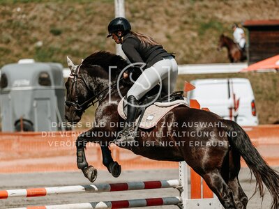 © Niki Buchegger, turnier-fotos.at