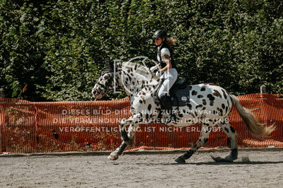 © Niki Buchegger, turnier-fotos.at