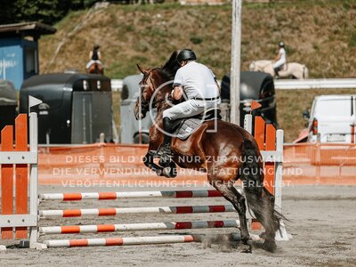 © Niki Buchegger, turnier-fotos.at