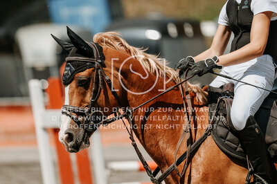 © Niki Buchegger, turnier-fotos.at