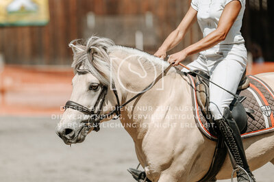 © Niki Buchegger, turnier-fotos.at