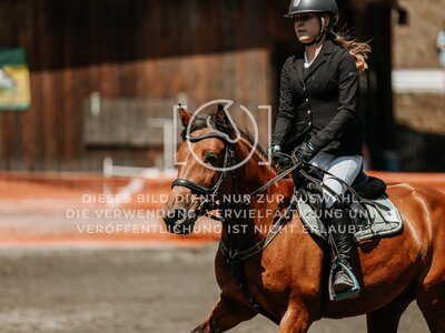 © Niki Buchegger, turnier-fotos.at