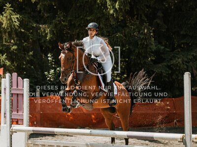 © Niki Buchegger, turnier-fotos.at