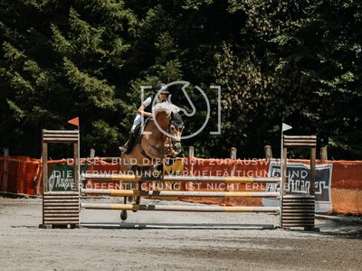 © Niki Buchegger, turnier-fotos.at