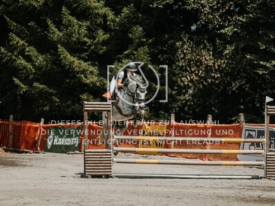 © Niki Buchegger, turnier-fotos.at