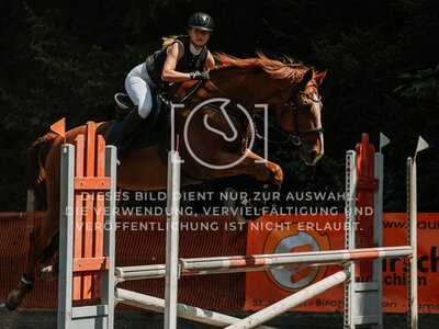 © Niki Buchegger, turnier-fotos.at
