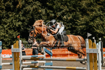 © Niki Buchegger, turnier-fotos.at