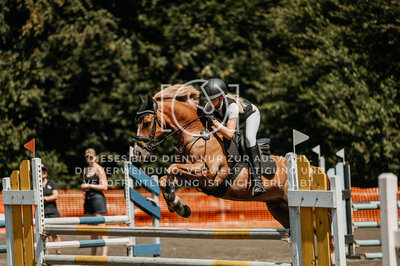 © Niki Buchegger, turnier-fotos.at