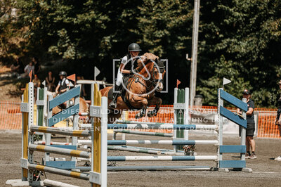 © Niki Buchegger, turnier-fotos.at