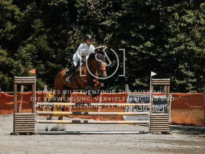 © Niki Buchegger, turnier-fotos.at